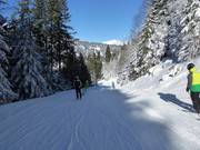 Discesa a valle verso Schruns