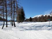 Pista di sci di fondo Golf a Crans