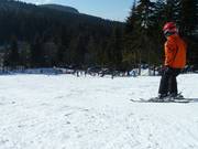 Divertimento sulla neve