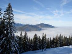 Immagini Hörnle - Bad Kohlgrub