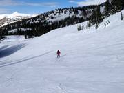 Ottima preparazione delle piste a Brighton