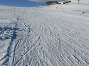 Ottime condizioni delle piste sulla discesa Kleine Belchenabfahrt