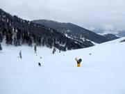 Discese nella Sun Bowl