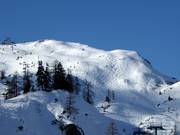 Meravigliose piste di neve fresca al Lawinenstein