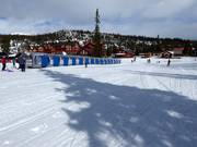 Suggerimento per i più piccoli 