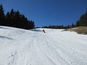 Curve su ampie piste