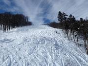 Pendio di neve fresca Kolašin 1450