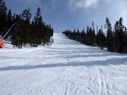 Pista difficile Komenten a Tandådalen
