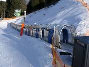 Horberg Shuttle 2 - Tapis roulant/Tappeto Magico con galleria