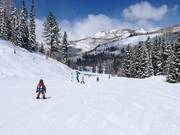 Pista facile presso la seggiovia Link