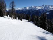 Pista facile presso la seggiovia Fleschen