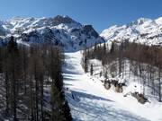 Pista Zadnji Vogel Nr. 10
