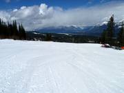 Ampia, facile e solo per i principianti