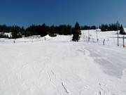 Pista di esercitazione nella zona a valle