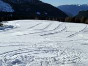Piste da fondo al Passo Rolle