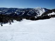 Pista Screaming Left