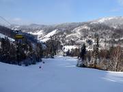 Pista intermedia Malinowa