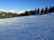 Pista appena preparata nell’area sciistica Sunshine Village