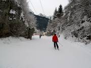 Discesa a valle verso Andalo