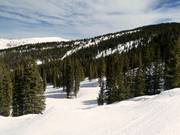 Le piste nel Blue Sky Basin