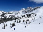 Pista presso la seggiovia Sugarloaf