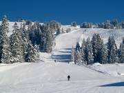 Discesa Torlaufstrecke