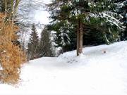 Variante Steilhang (pista 9a)