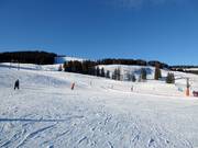 Facile pista della scuola di sci