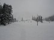 Piste presso l'Armstrong Express