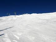 Pista Vreni Schneider