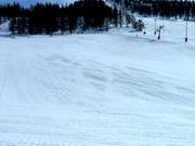 Terreno ideale per principianti presso lo skilift Col