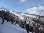 Vista su Heavenly Canyon