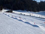 Pista Wellenbahn a Westendorf