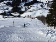 Zachhof Babylift - Skilift con T-bar/ancora