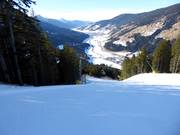 Pista difficile Raut-Vierschach