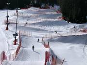 Suggerimento per i più piccoli 