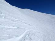 Ampi pendii di neve fresca