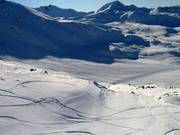 Tanto spazio per i freerider