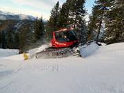 Pistenbully al lavoro