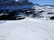 Pista difficile Paprika