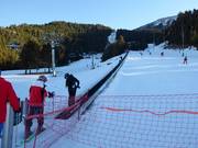 Pastors - Tapis roulant