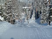 Faregg Lift - Skilift con T-bar/ancora