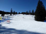 Pista facile Armentarola