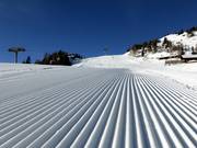 Ottima preparazione delle piste