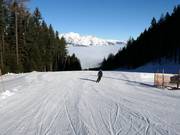 Facile discesa Halsmarter