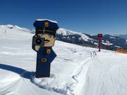 Suggerimento per i più piccoli 