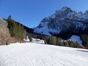Pista di esercitazione Campo Scuola Baby ai Piani di Pezzè