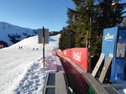 Märchenwald - Tapis roulant/Tappeto Magico