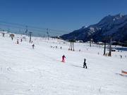 Piste facili al Passo del Tonale