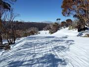 Village Trail nella zona centrale
